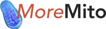 MoreMito